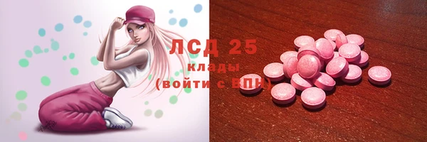 твердый Аркадак