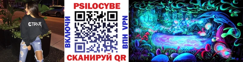 Псилоцибиновые грибы мухоморы как найти наркотики Павловский Посад